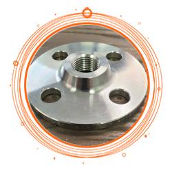 AISI 317L NPT Flanges