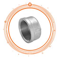 AISI 317L Threaded Cap