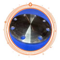 EN 1.4435 Plate Flanges