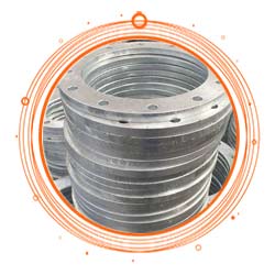 Hastelloy C276 Plate Flanges
