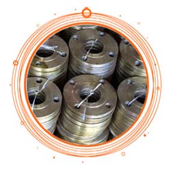 Hastelloy Flanges
