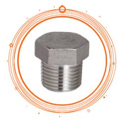 INOX 317L Threaded Plug