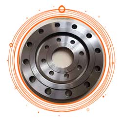 Loose Flange