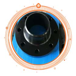 MS Weld Neck Flange