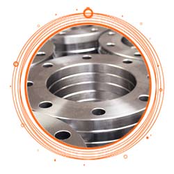 Stainless Steel Flanges
